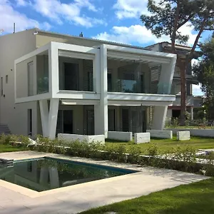 Divine Luxury Toroni